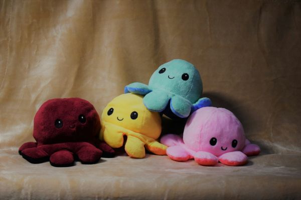 Découvrez le charme de l'octopus reversible géant